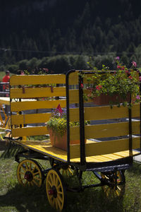 Bicycle parked by plants on field