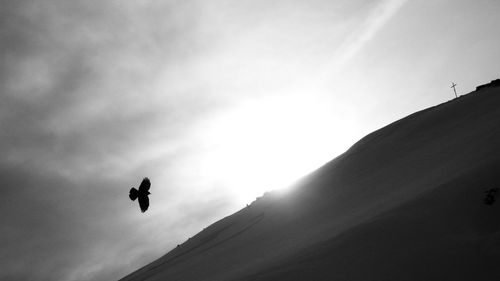 Low angle view of silhouette bird flying in sky