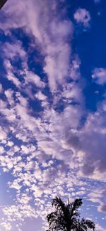 Low angle view of silhouette trees against sky