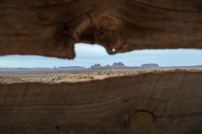 Close-up of wooden log