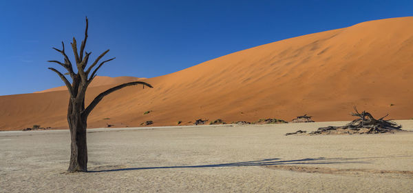 Scenic view of desert against clear blue sky