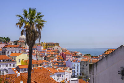 High angle view of townscape by sea against clear sky