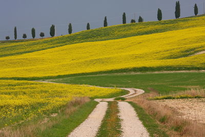 Road amidst field against sky