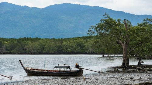 Boat in river by trees against sky