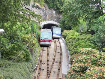 Train on railroad track in forest