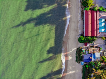 High angle view of tree by building