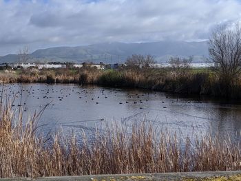 Scenic view of lake against sky