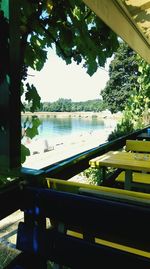 Railing with trees in background