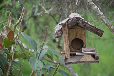 Close-up of birdhouse on tree