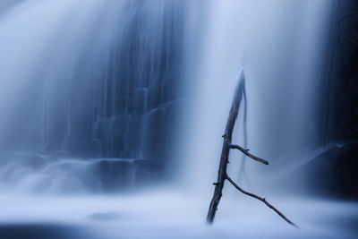 Branch protruding from a sheet of water gushing down a waterfall