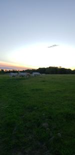 Scenic view of field against sky during sunset