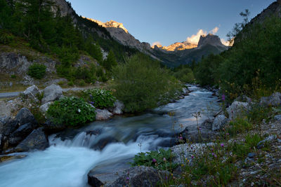 Scenic view of stream flowing through rocks