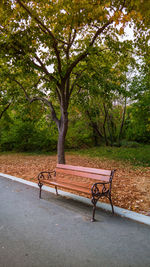 Empty bench in park