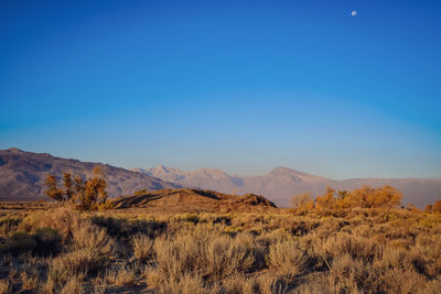 Autumn valley landscape with trees, dirt hill road,, hazy mountains and morning moon