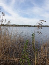 Scenic view of lake against sky