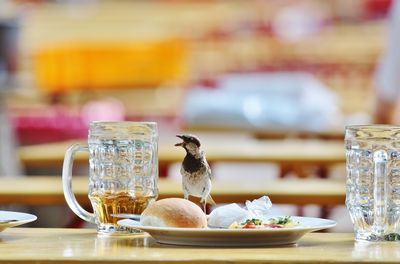 Close up of food on table