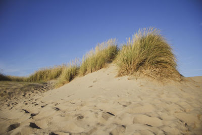 Dune at beach