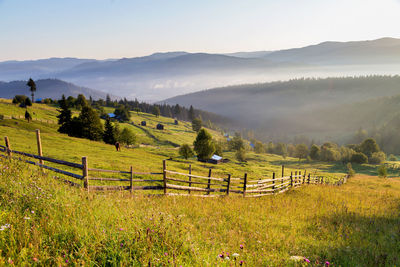 Scenic view of field against sky