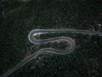 High angle view of road amidst trees