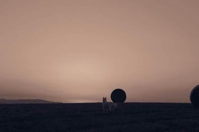 Scenic view of field against sky at sunset