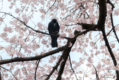 Low angle view of bird perching on tree against sky