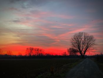 Silhouette bare trees on field against sky at sunset