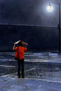 Rear view of man standing on wet shore against sky