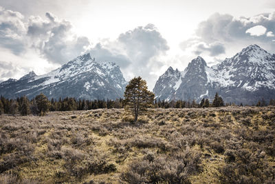Scenic view of snowcapped mountains against sky