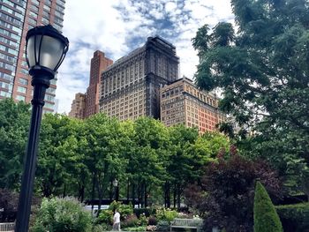 Low angle view of trees and plants in city