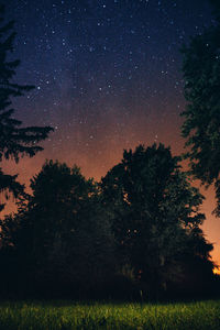 Silhouette trees on field against sky at night