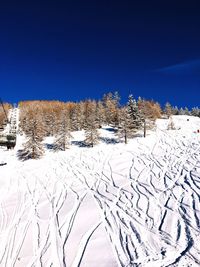 Snow covered field against clear blue sky