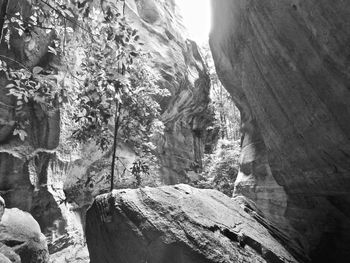 Close-up of rock formation