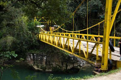 Bridge over river in forest