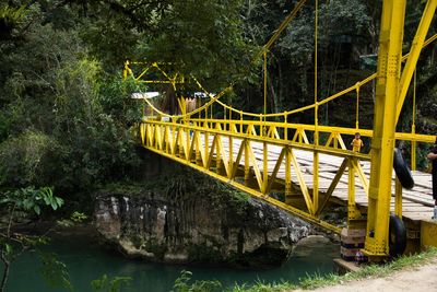 Bridge over river in forest