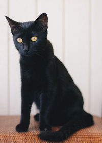 Close-up of black cat sitting at home