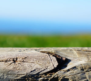 Close-up of log against clear sky