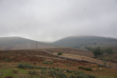 Scenic view of landscape against sky