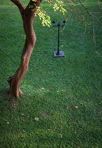 View of dead tree on field