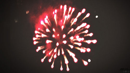 Firework display at night