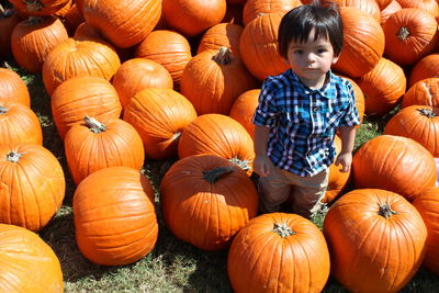 Pumpkin patch thanksgiving 