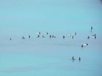 Birds swimming in sea against sky