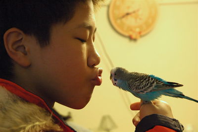 Side view of boy puckering at blue budgerigar perching on hand