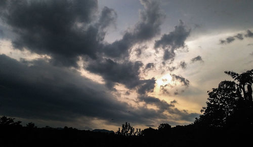 Low angle view of silhouette trees against sky during sunset