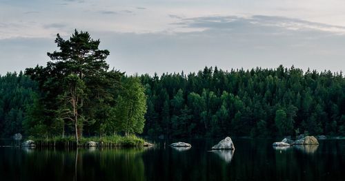 Trees and lake against cloudy sky