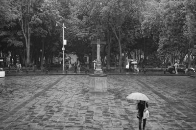 Rear view of people walking in park