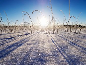 Snow covered land against sky