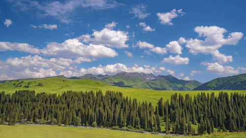 landscape