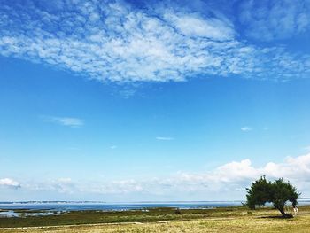 Scenic view of field against blue sky