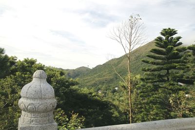 Statue of trees against sky