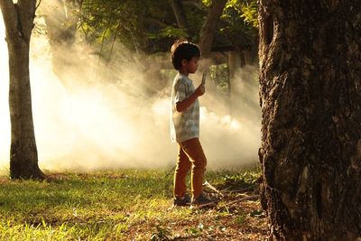 Full length of boy standing on tree trunk